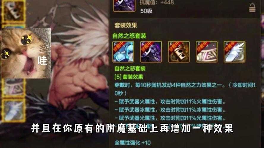 如何获取并理解100级史诗套装的全面效果?