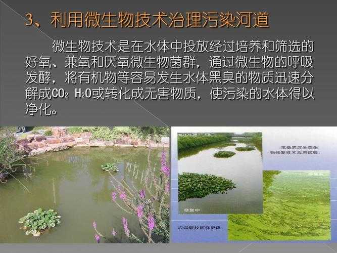 南美未知毒素致全球危机:跨国调查与生态修复纪实