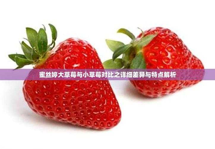 蜜丝婷草莓系列对比:大果VS小果核心差异全解析