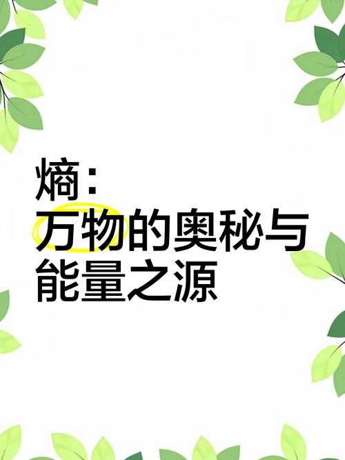 熵字的相关名词解释有哪些?