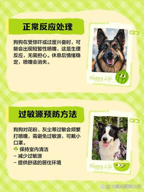 憋喷嚏危害与2025科学应对指南