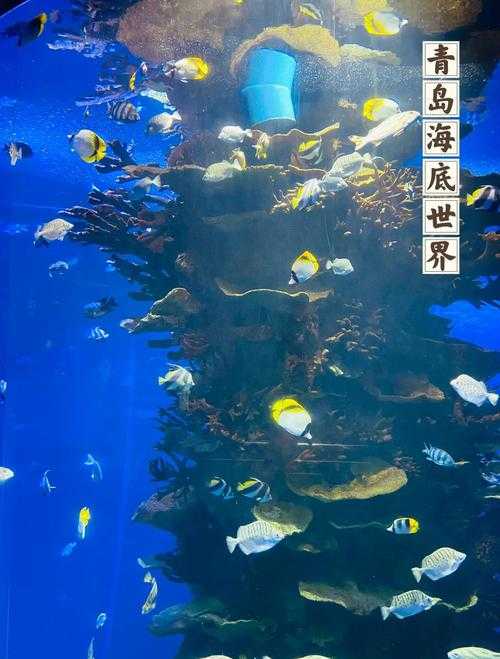 2025年 海底世界 职业全解析 你的海洋王国应该怎么建