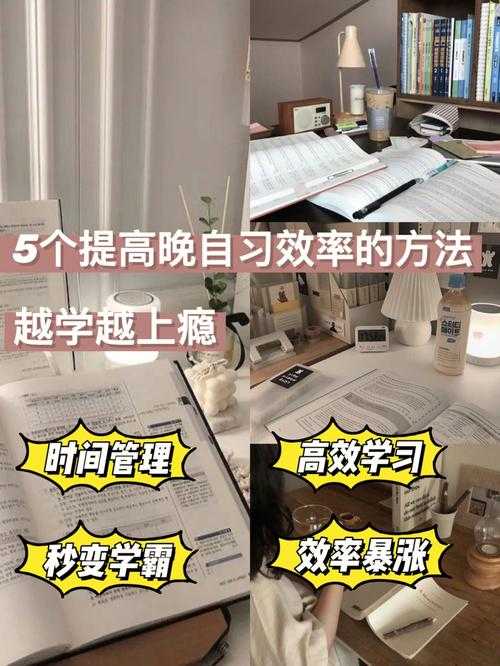 2025年 海盗王 搬砖脚本全解析 实测效率翻倍的真实体验