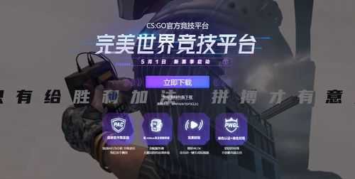 2025年CSGO平台挂机率与反作弊评测