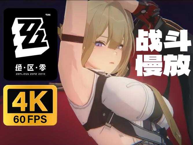掌握这些技巧,让你在伊芙琳中游刃有余