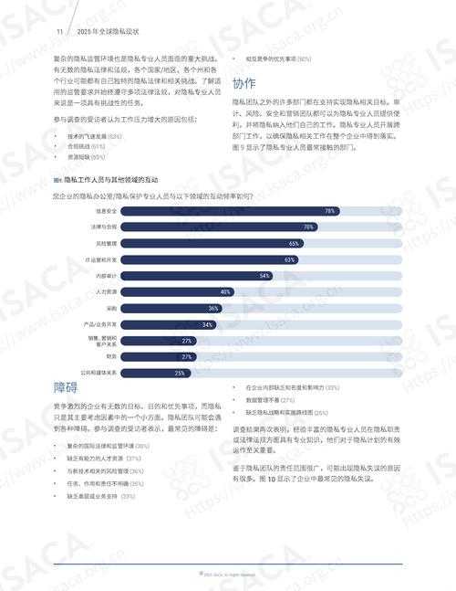 2025年《Foxy》中文版发展现状与用户洞察