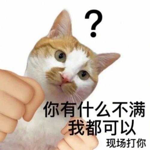 如何获取并使用有趣的表情包?有哪些令人愉悦的表情包推荐?