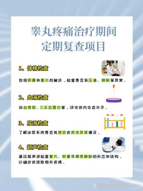 女性压迫阴囊引发疼痛的医学解析:压迫防护与急症处理指南