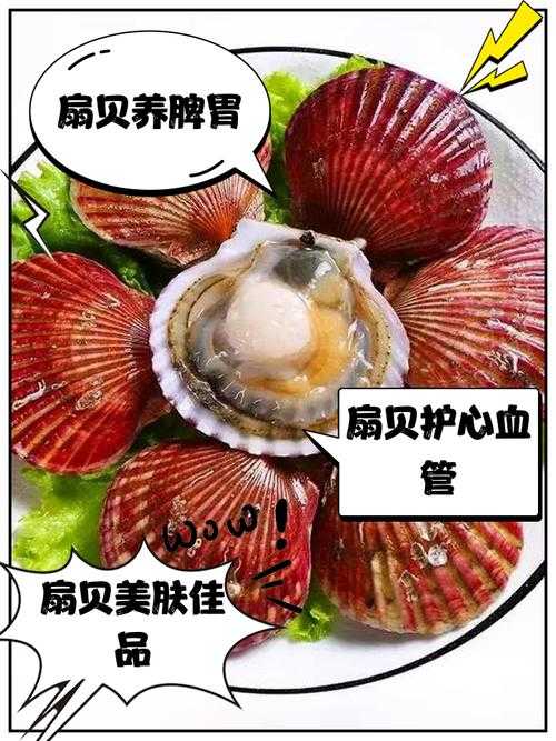 扇贝拉丝奇观：食趣体验与人文底蕴探秘