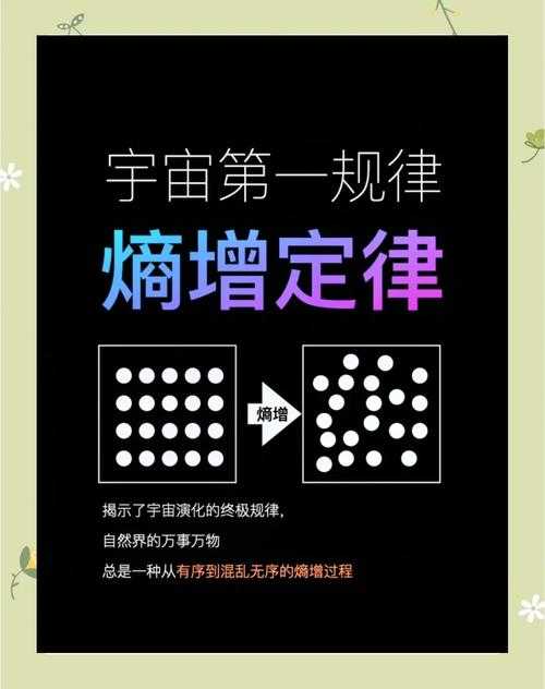 熵字的相关理论有哪些?