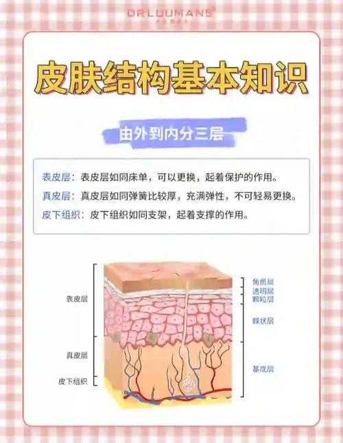 以下是对游戏皮肤相关内容的结构化分析与建议: