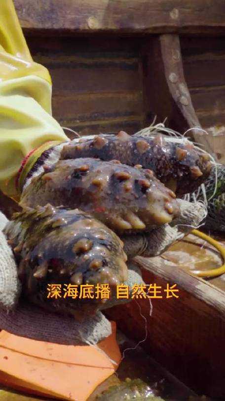 2025年 深海工厂 34关通关全攻略