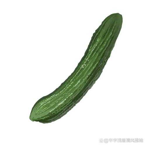 黄瓜的视频画画的图片:热门创意艺术新潮流
