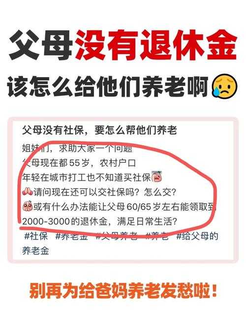 谁来照顾妈妈:家庭养老难题解析