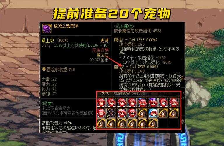 dnf柔道家装备110