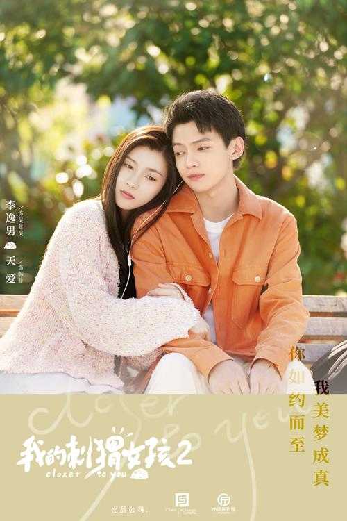 我的刺猬女孩:青春治愈系爱情故事