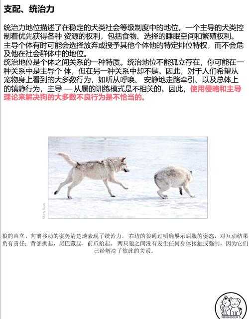 驯虎饲狼:揭秘野生动物人工饲养的潜在危机与实操挑战