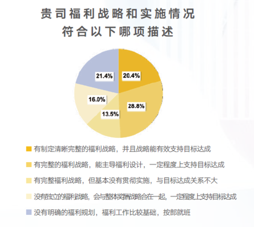 2025年CSOLH福利体系优化与未来趋势