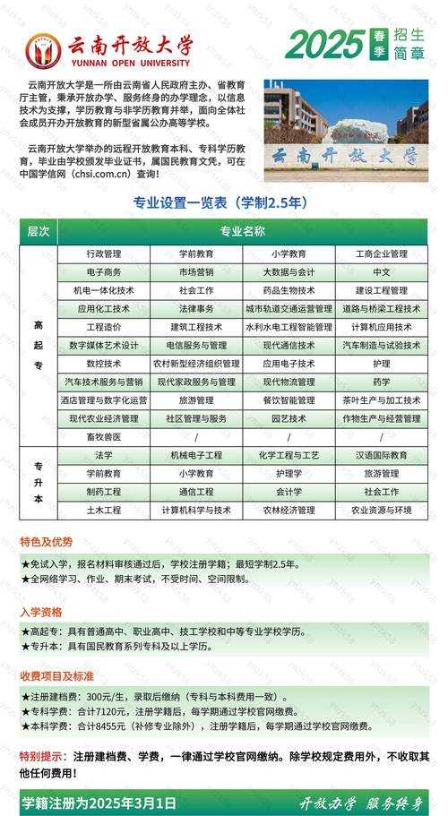 2025年 混沌与秩序 新手职业选择指南