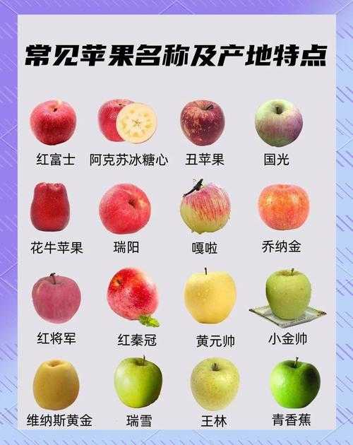 苹果在中国的合作伙伴有哪些?