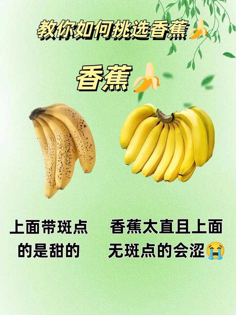 香蕉成熟时的采摘时机与保存技巧