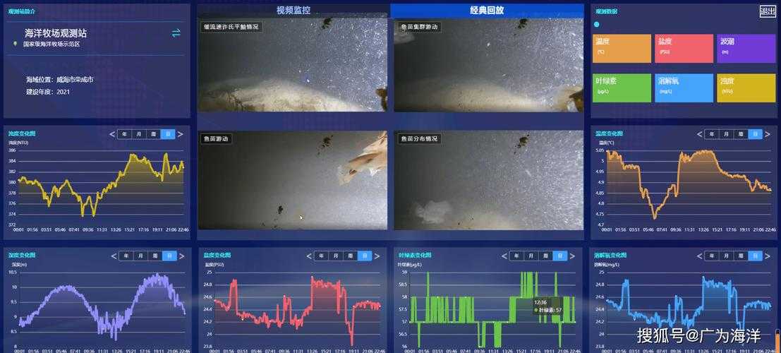 《全名英雄》生态观察:数据透视与玩家体验
