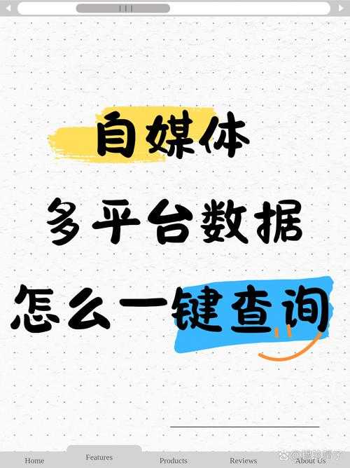 如何有效解读和利用在175平台上的数据查看功能?