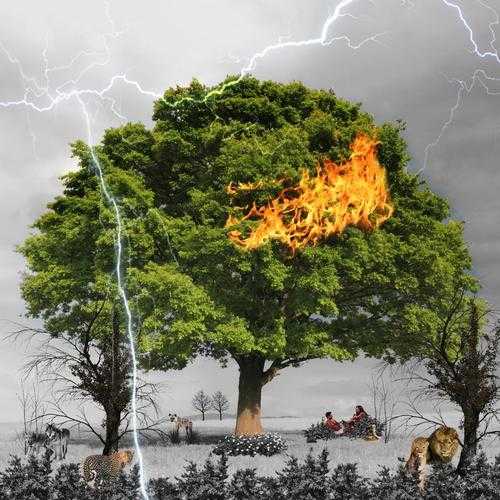 《damage done》引发2025社会生态多维重构