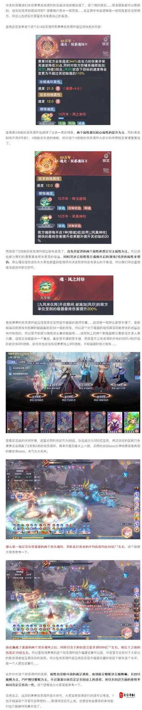 关于魂师2.5万年魂环分配策略的深度解析（附实战应用指南）