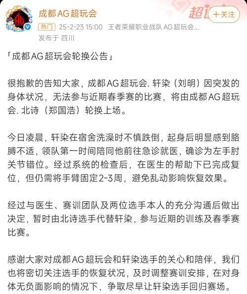 2025年 王者荣耀 团队协作与战术指南