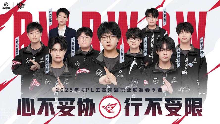 2025年 王者荣耀 职业联赛夺冠全攻略 从青铜到王者必知的