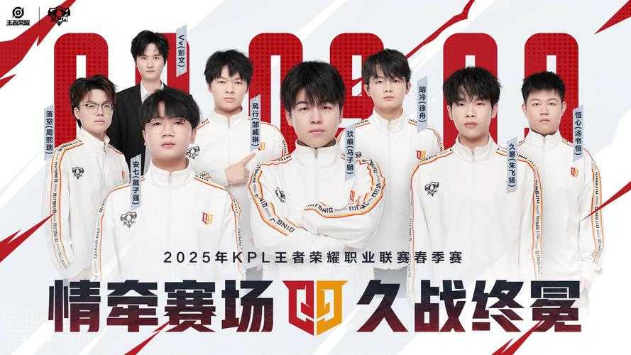 2025年 王者荣耀 职业选择全攻略 数据化解析与实战指南