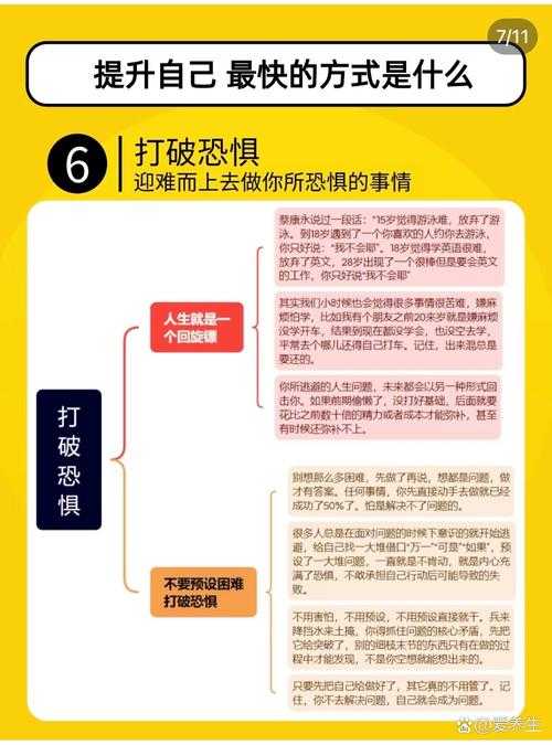 2025年 痞子猫 玩家实战经验全解析 战斗力提升五大核心法