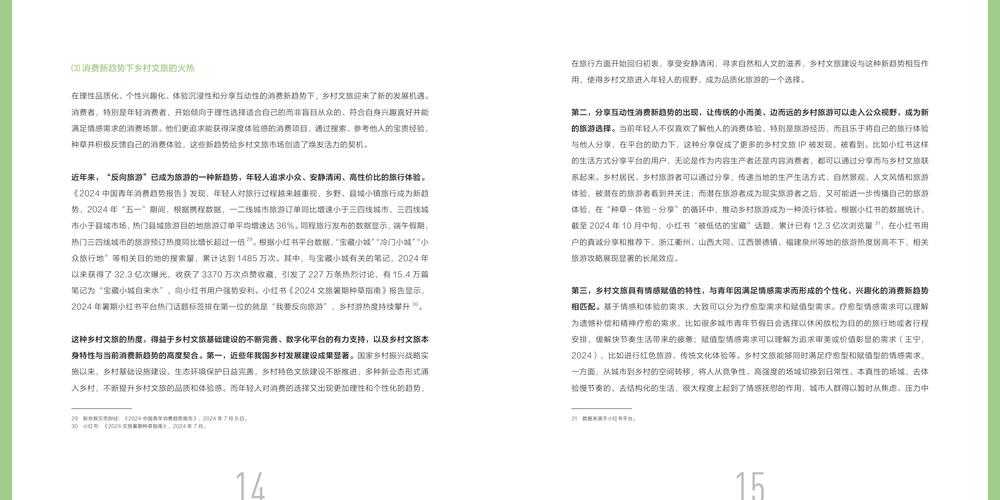 2025年 登顶新手村之旅 深度体验报告