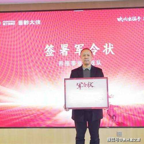 2025年 白云村 战队组建全攻略 从菜鸟到全国冠军的六个关