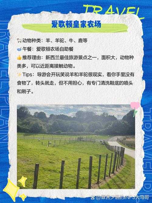 2025年 皇家农场 深度体验报告