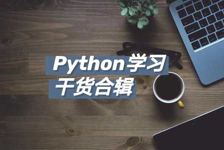 2025年 皮丘世界 全维度攻略 亲测有效的进阶指南