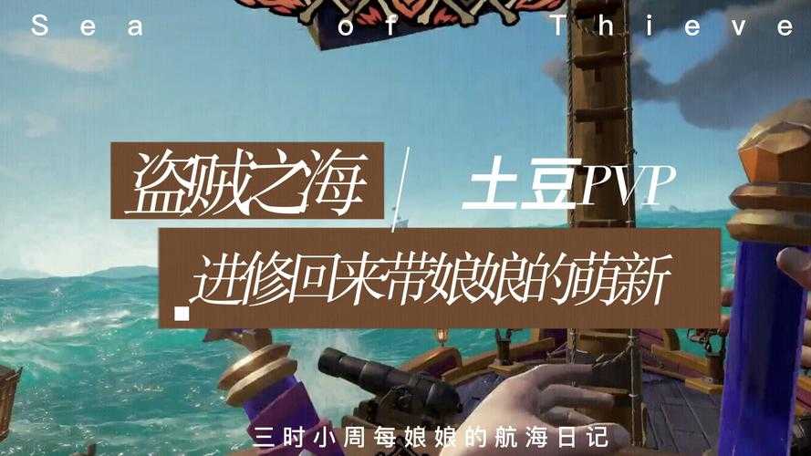 2025年 盗贼之海 舰队战实战指南 从新手到老司机的进阶之