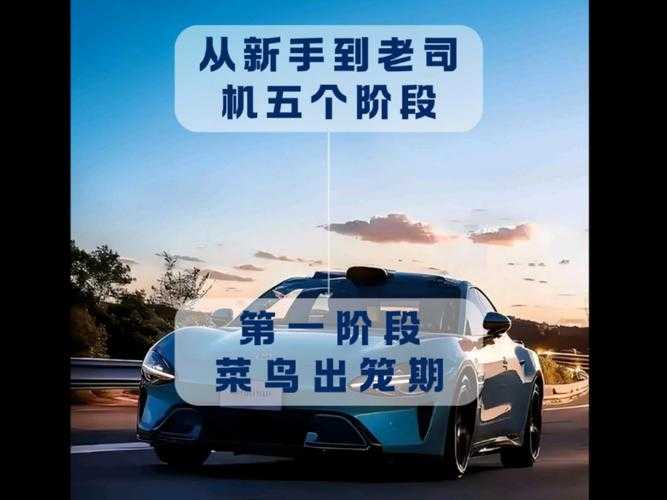2025年 盗贼神偷 新手生存指南 从萌新到老司机的进阶之路