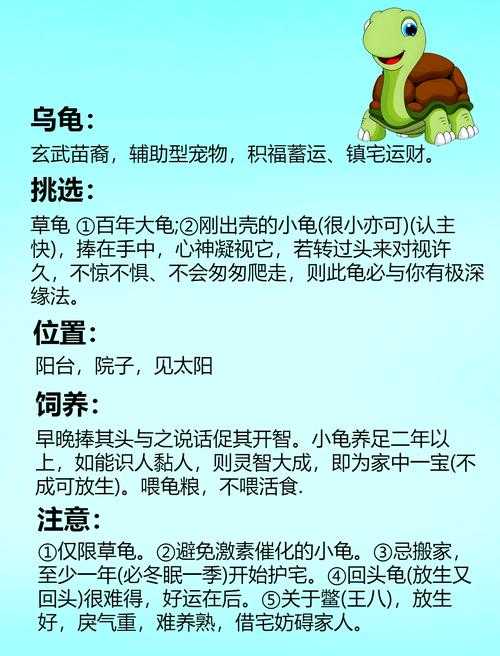 2025年 破晓九天 宠物培养全攻略 从萌宠到战神的进阶指南