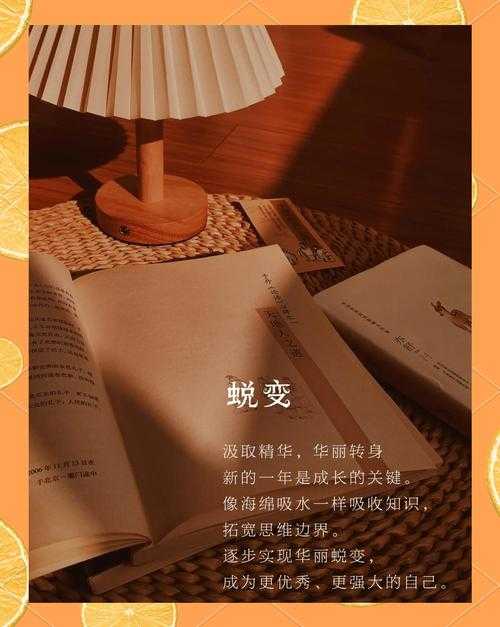 2025年 破茧 策略玩家生存指南