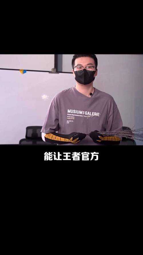 2025年 磊哥游戏 通关全攻略 从菜鸟到高手的进阶指南