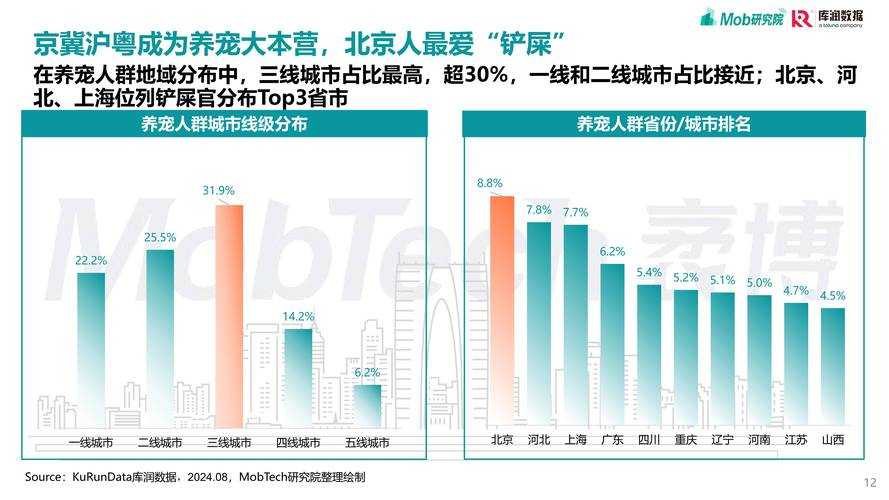 2025年 神佑 宠物系统深度体验报告