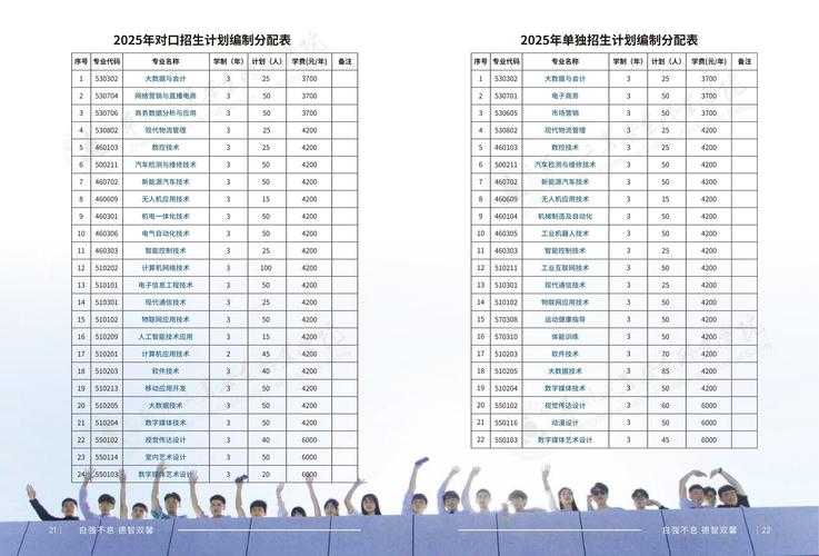 2025年 神域 职业搭配实战指南