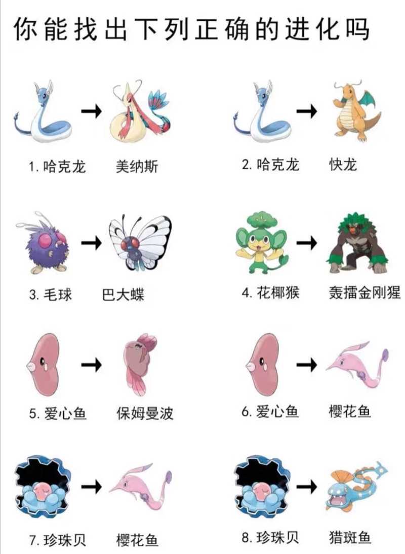 2025年 神宠网游 宠物进化全攻略 实测数据 实战技巧