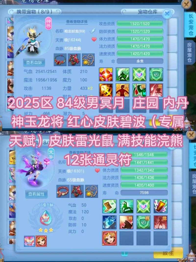 2025年 神武 全服副本通关指南