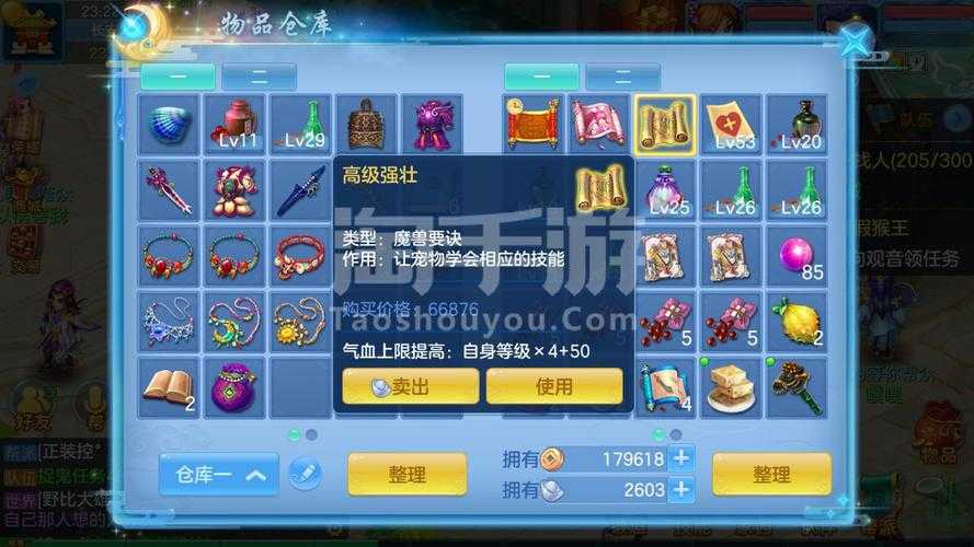 2025年 神武 天兵加点全攻略 生存 输出与个性化搭配指南