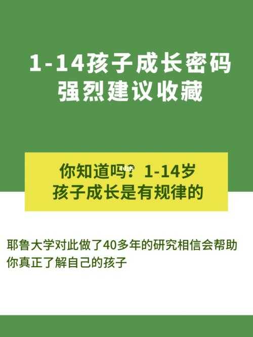 2025年 神武 帮派战实战指南 从新手到高手的成长密码