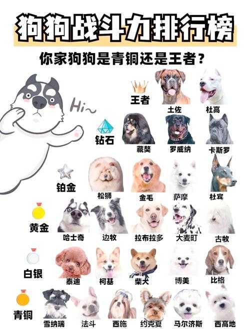 2025年 神犬网游 宠物战斗力提升全攻略