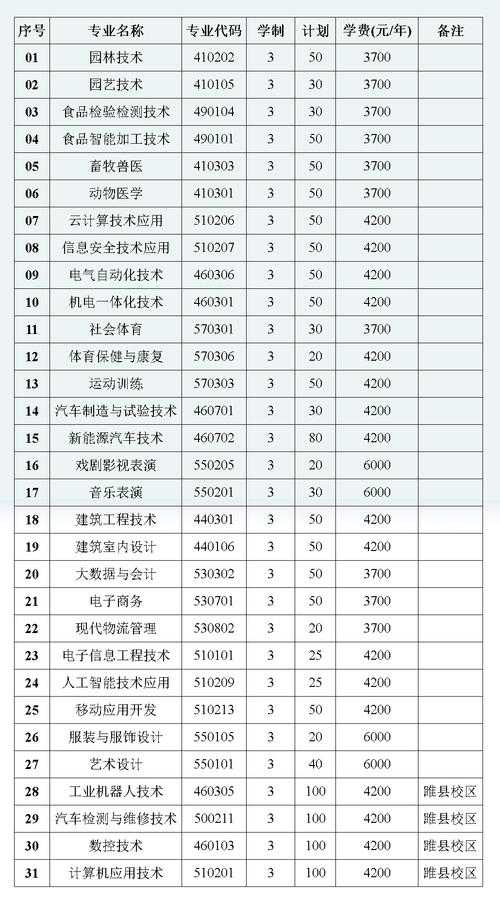 2025年 神迹 职业选择全攻略 数据说话的实战指南